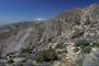 13JoshuaTree - 63